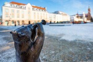 widzimisie bialystok nowe figurki
